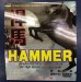 画像2: [Traning]Hammerゴクウス[Hammer Gokuusu]WRM custom-made (2)