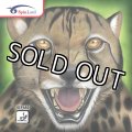 【決算特価】Gepard