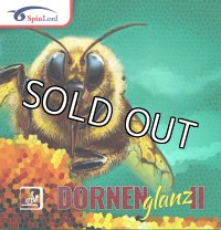 DornenGlanz2