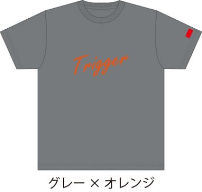 画像5: 【お試し】Trigger