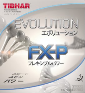 画像1: エボリューションFX-P[EvolutionFX-P] (1)