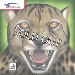 画像1: 【決算特価】Gepard (1)